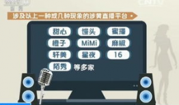 91色情直播app,暗流涌动的网络直播乱象